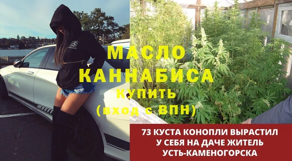 гидра Зеленодольск