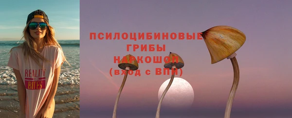 гидра Зеленодольск