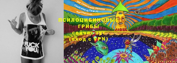 гидра Зеленодольск