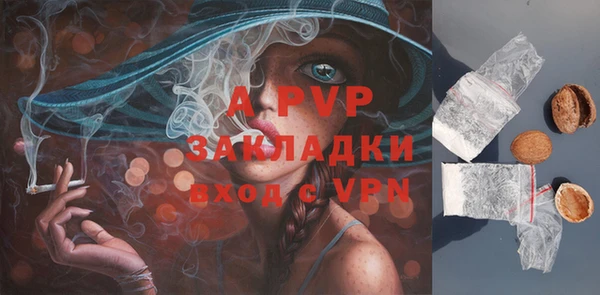 гидра Зеленодольск