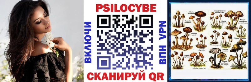 Псилоцибиновые грибы GOLDEN TEACHER  Купить закладки  Северск 