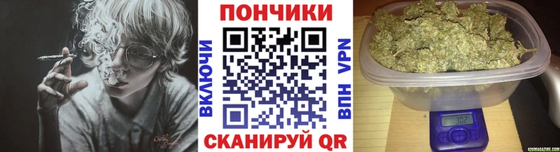 Шишки марихуана гибрид Северск